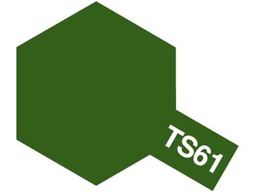 [85061] TS-61 나토 그린