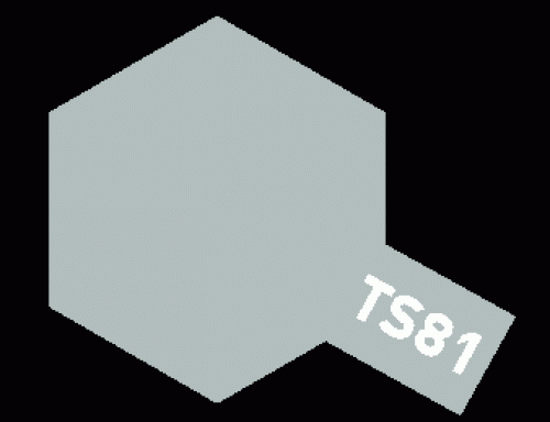 [85081] TS-81 로열 라이트 그레이
